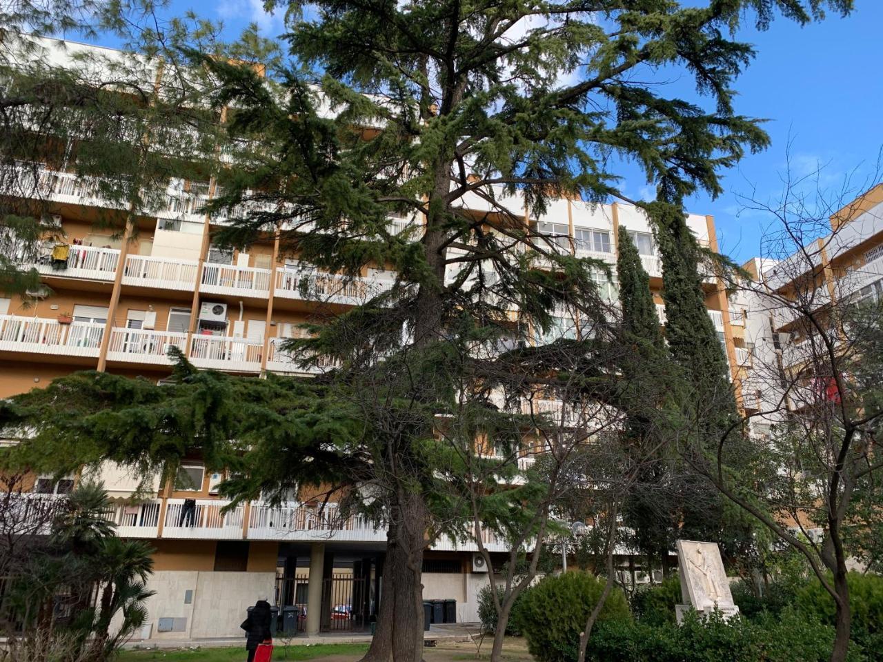 Agora B&B Urban Relais Canosa di Puglia Luaran gambar